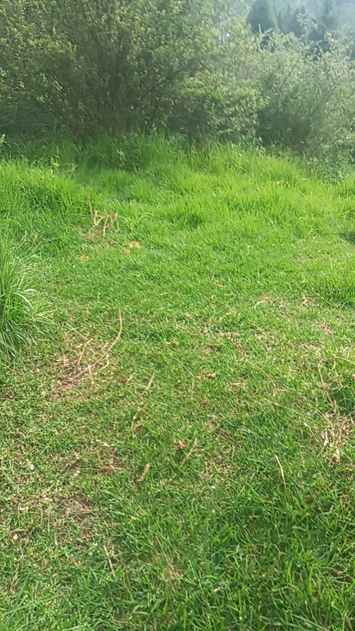 After cleaning photo