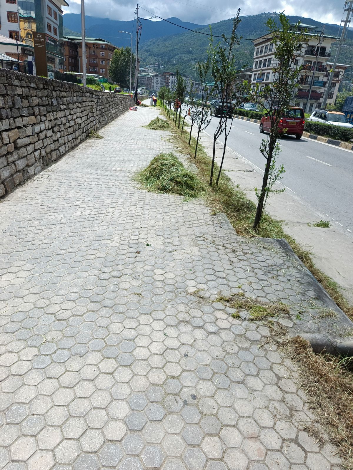 During cleaning photo