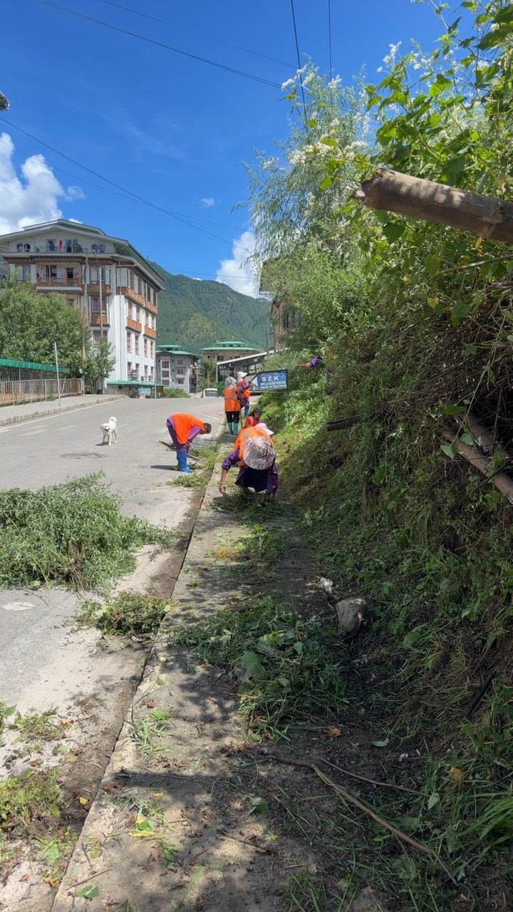During cleaning photo