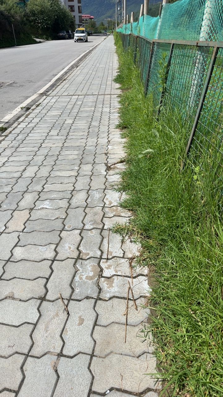 Before cleaning photo