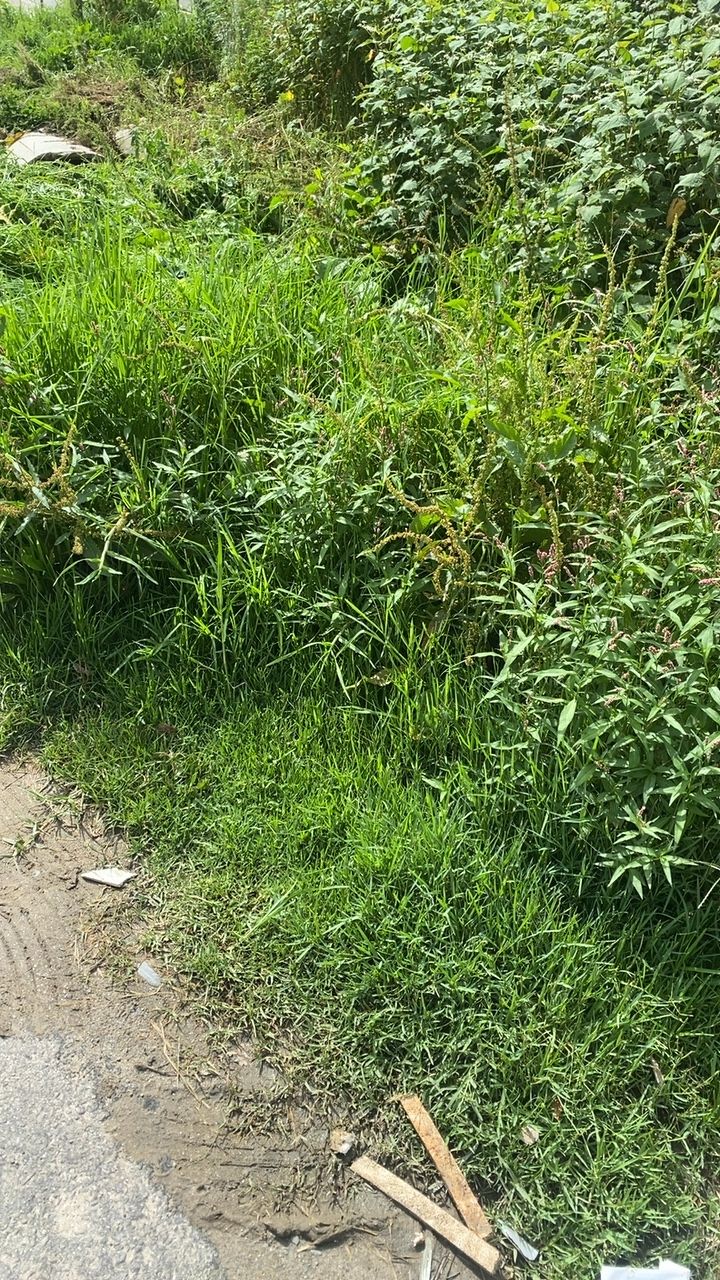 Before cleaning photo
