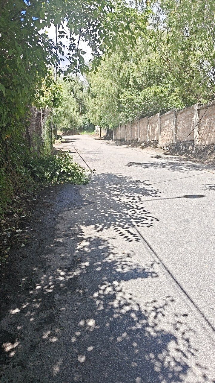 After cleaning photo