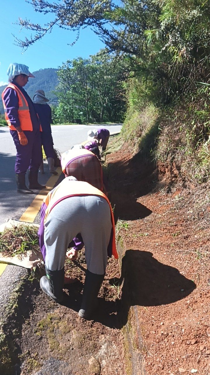 During cleaning photo