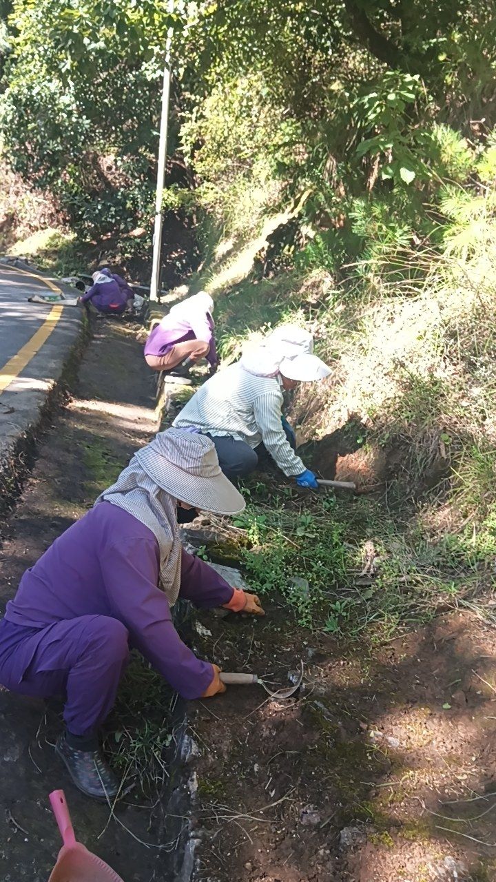 During cleaning photo
