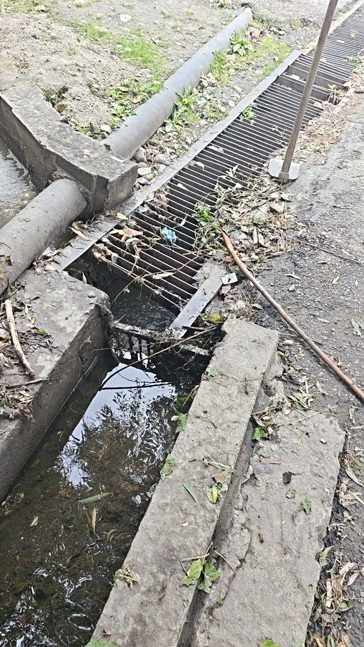 Before cleaning photo