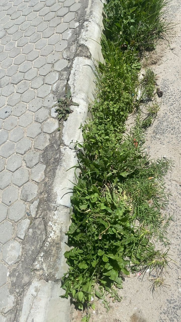 Before cleaning photo