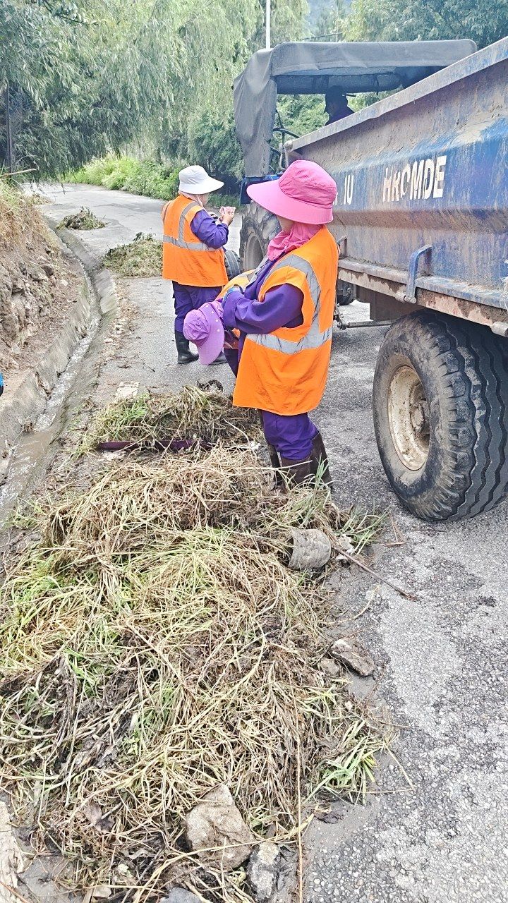 During cleaning photo