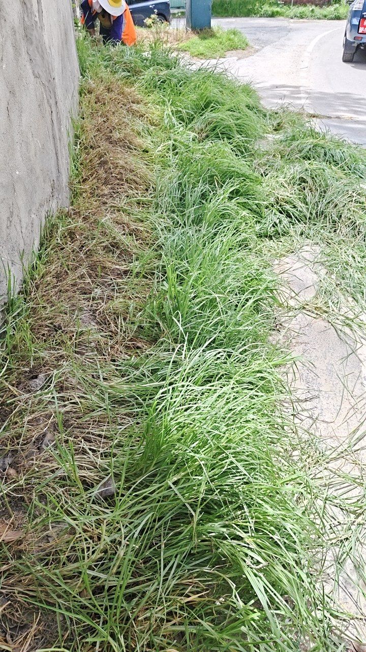 Before cleaning photo