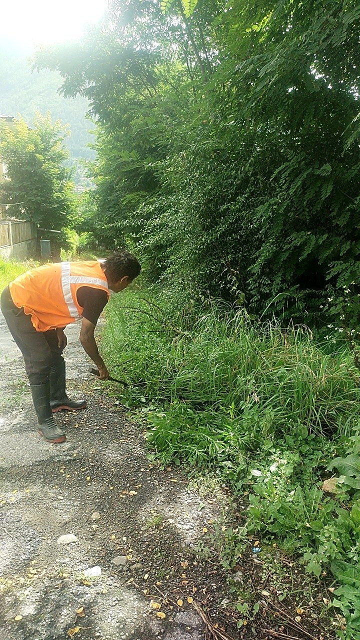 During cleaning photo