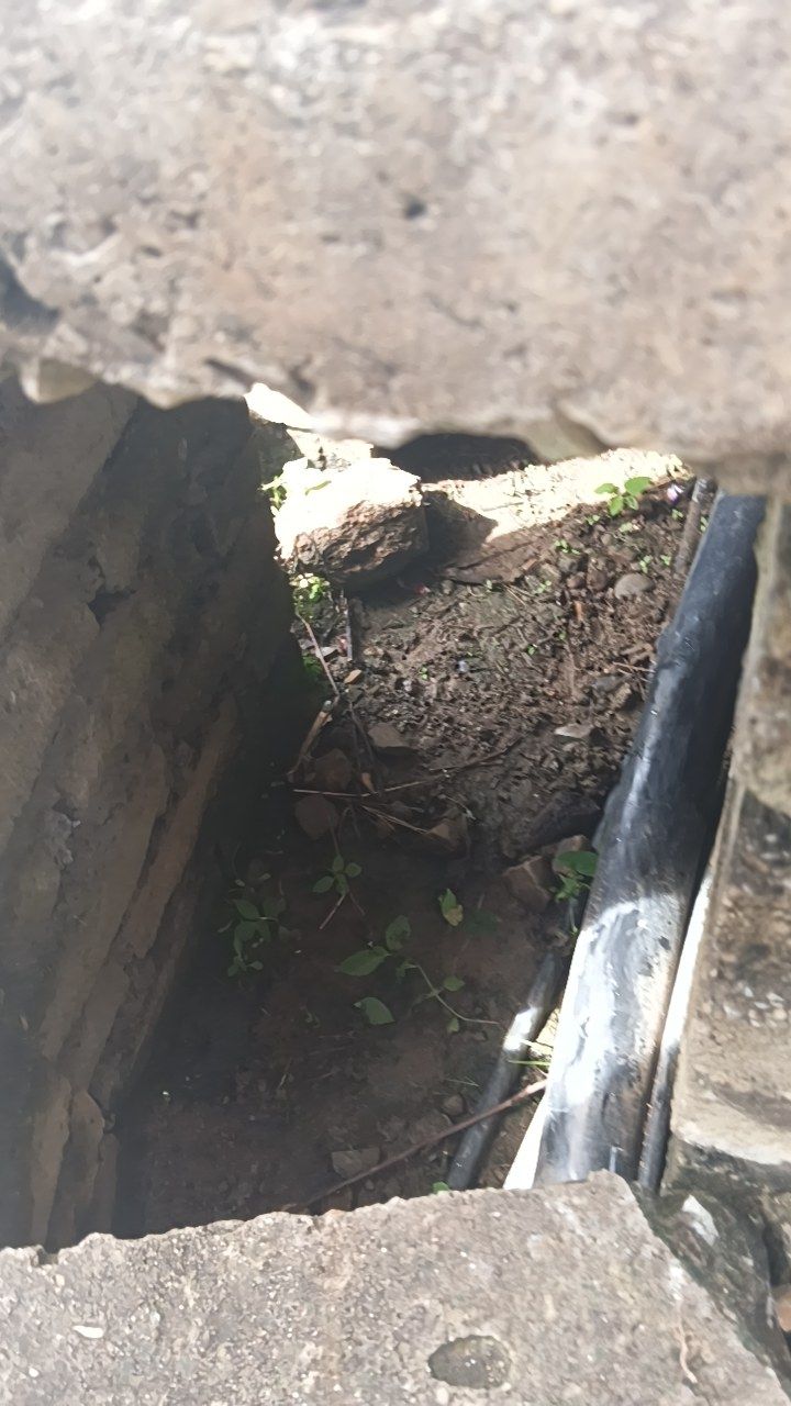 After cleaning photo