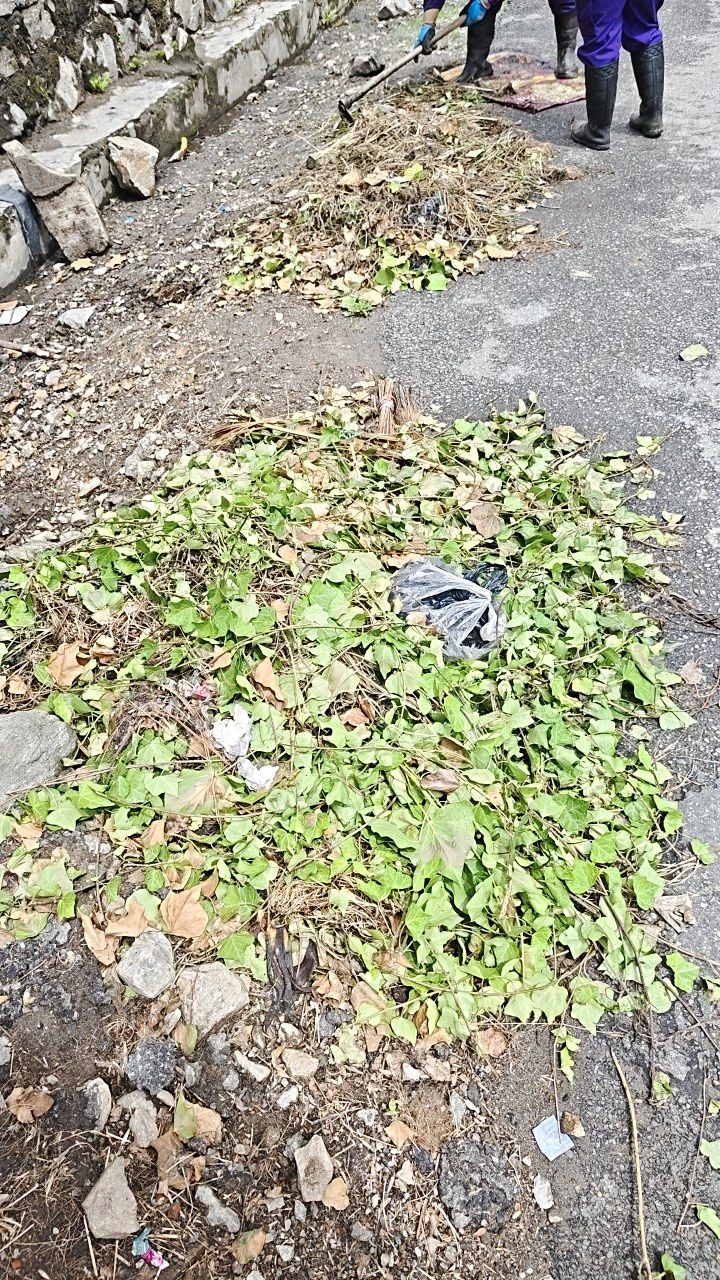 Before cleaning photo