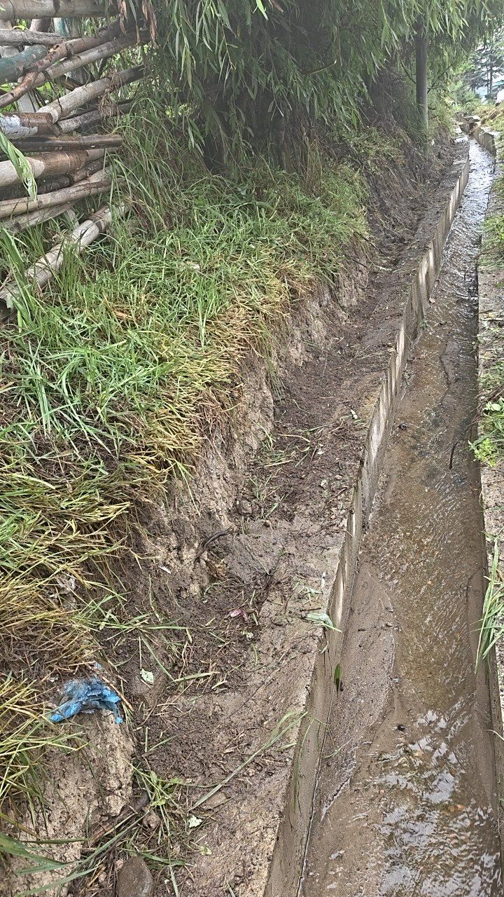After cleaning photo