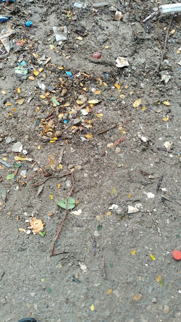 After cleaning photo