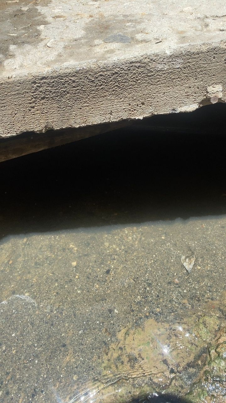 After cleaning photo