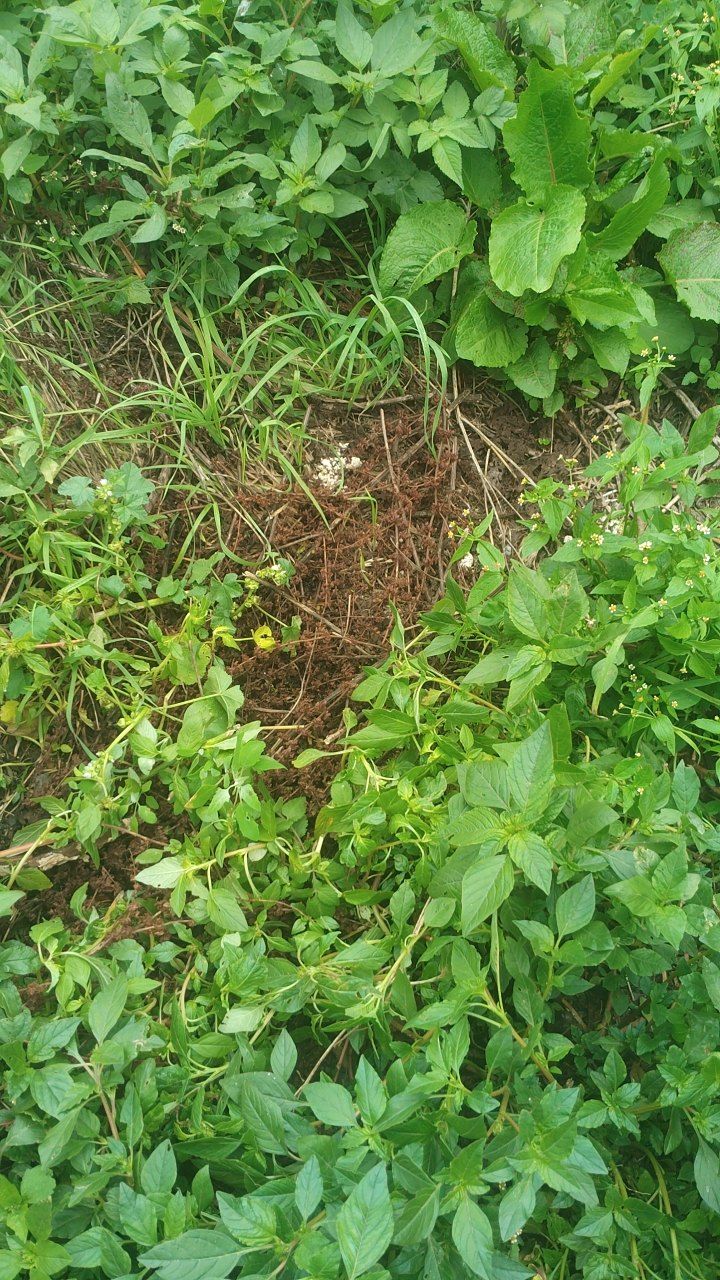 After cleaning photo
