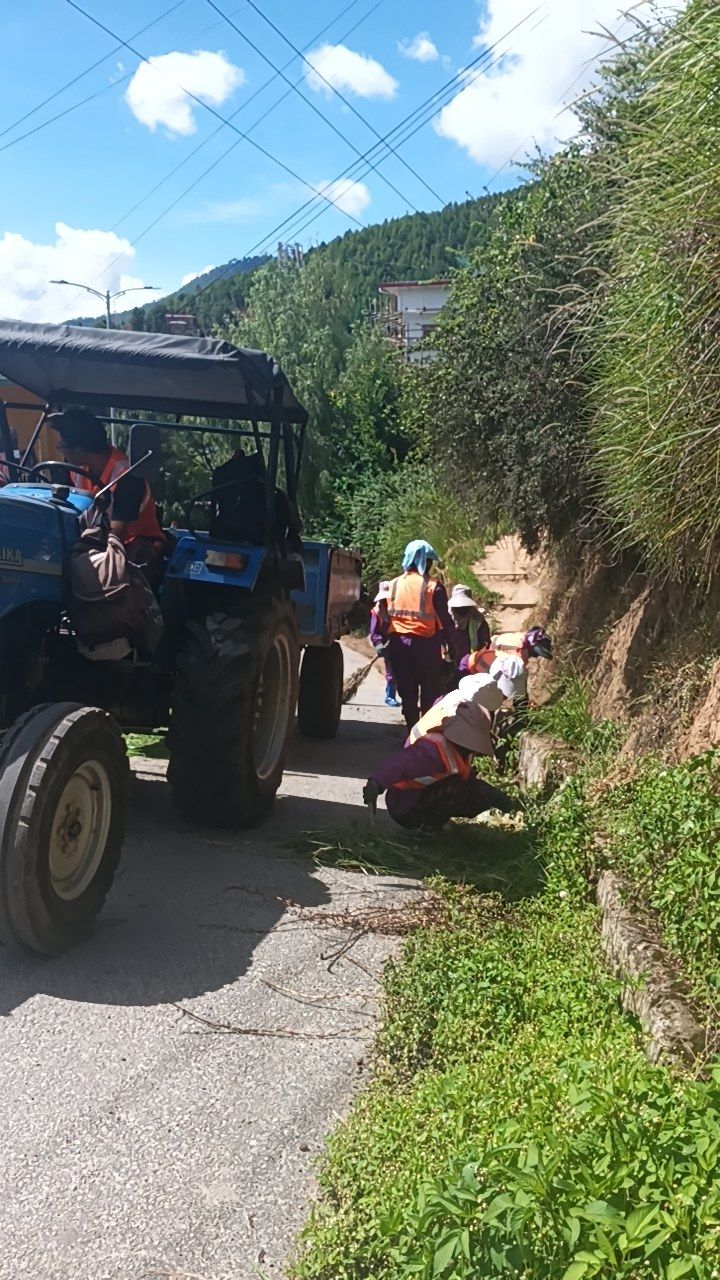 During cleaning photo