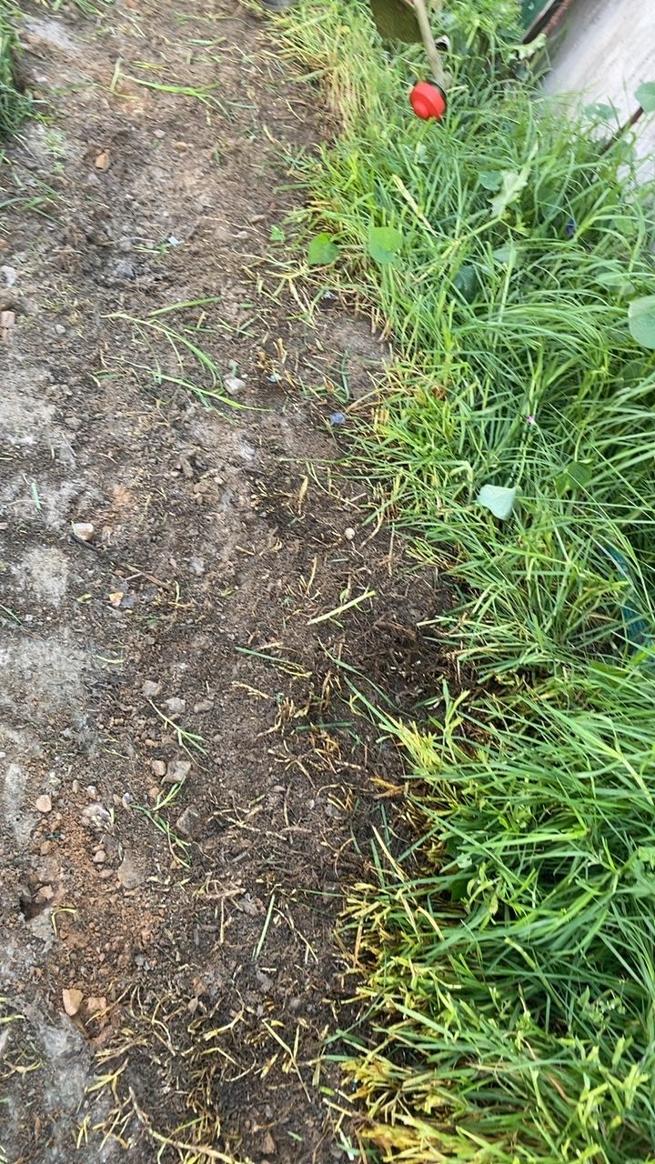 After cleaning photo