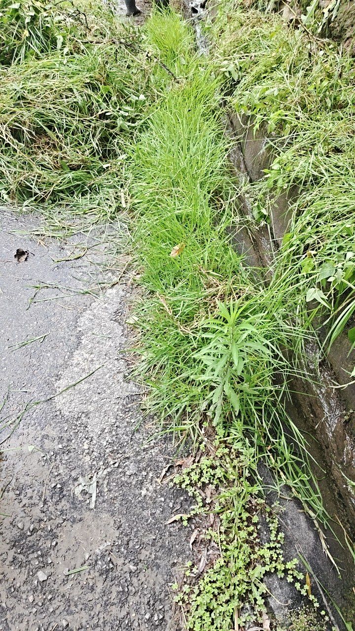 Before cleaning photo