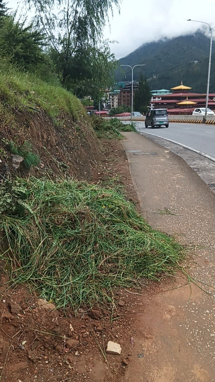 Before cleaning photo