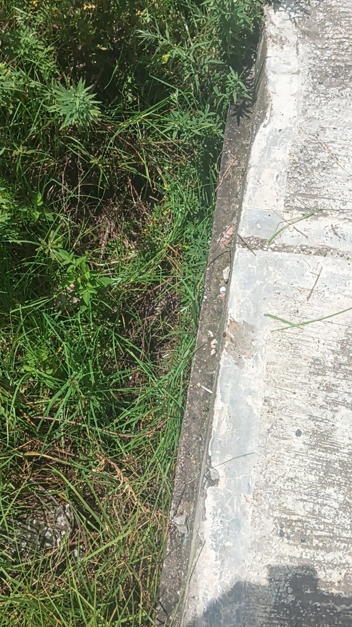 After cleaning photo