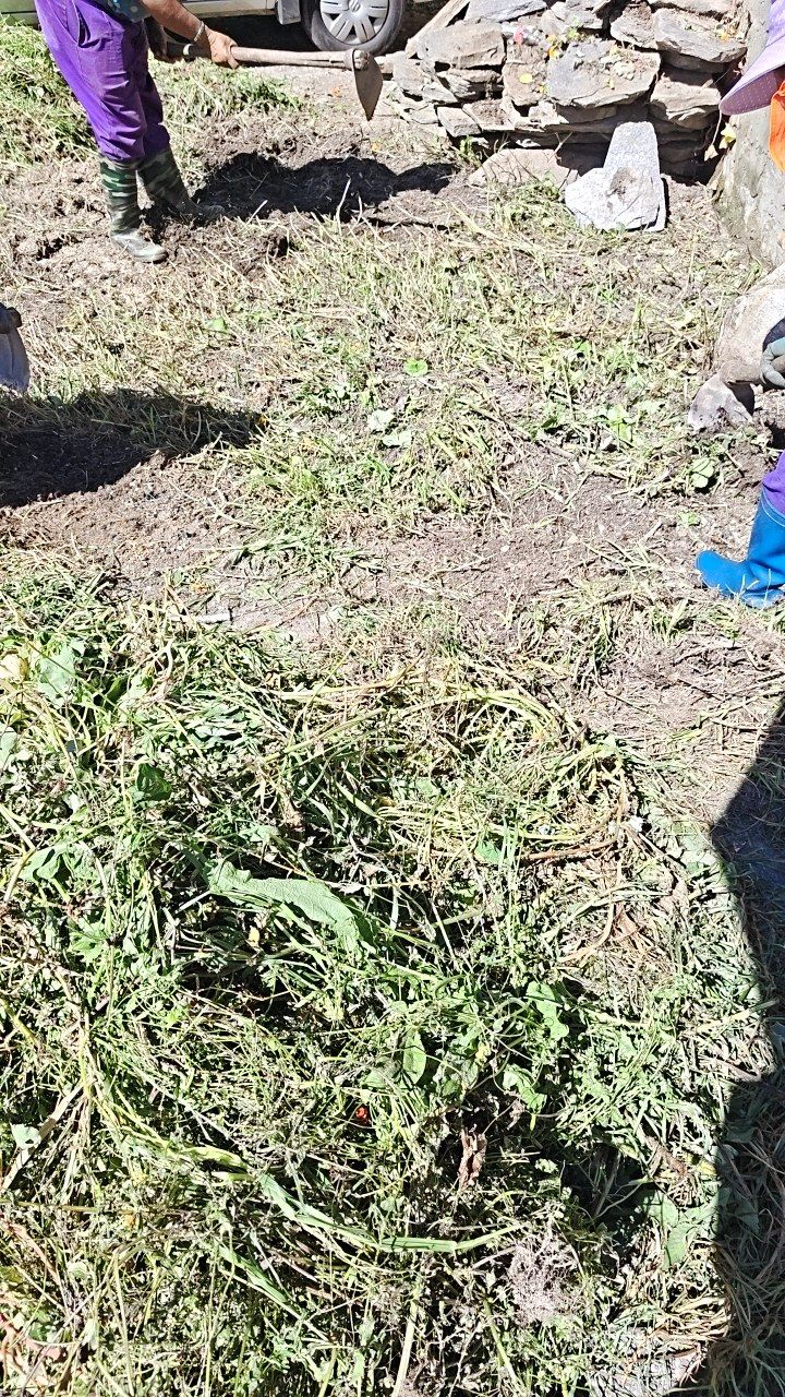 Before cleaning photo