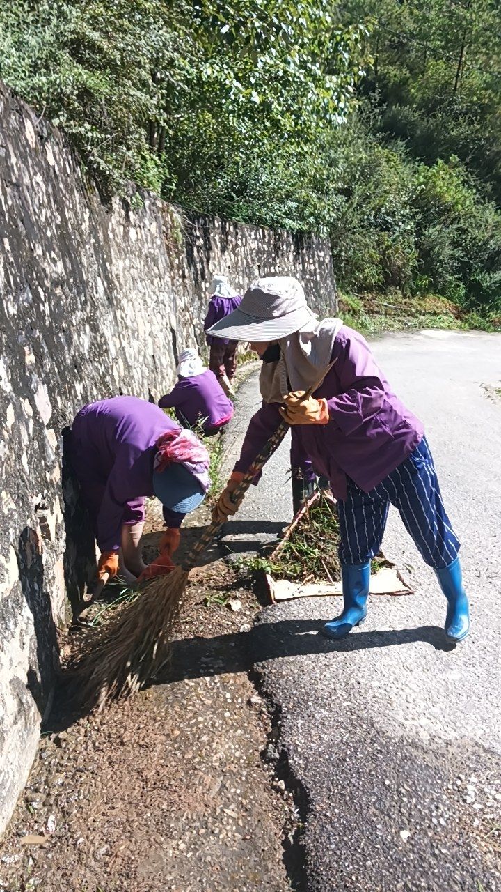 During cleaning photo
