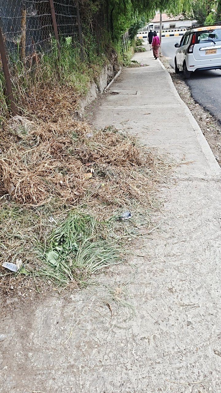 Before cleaning photo