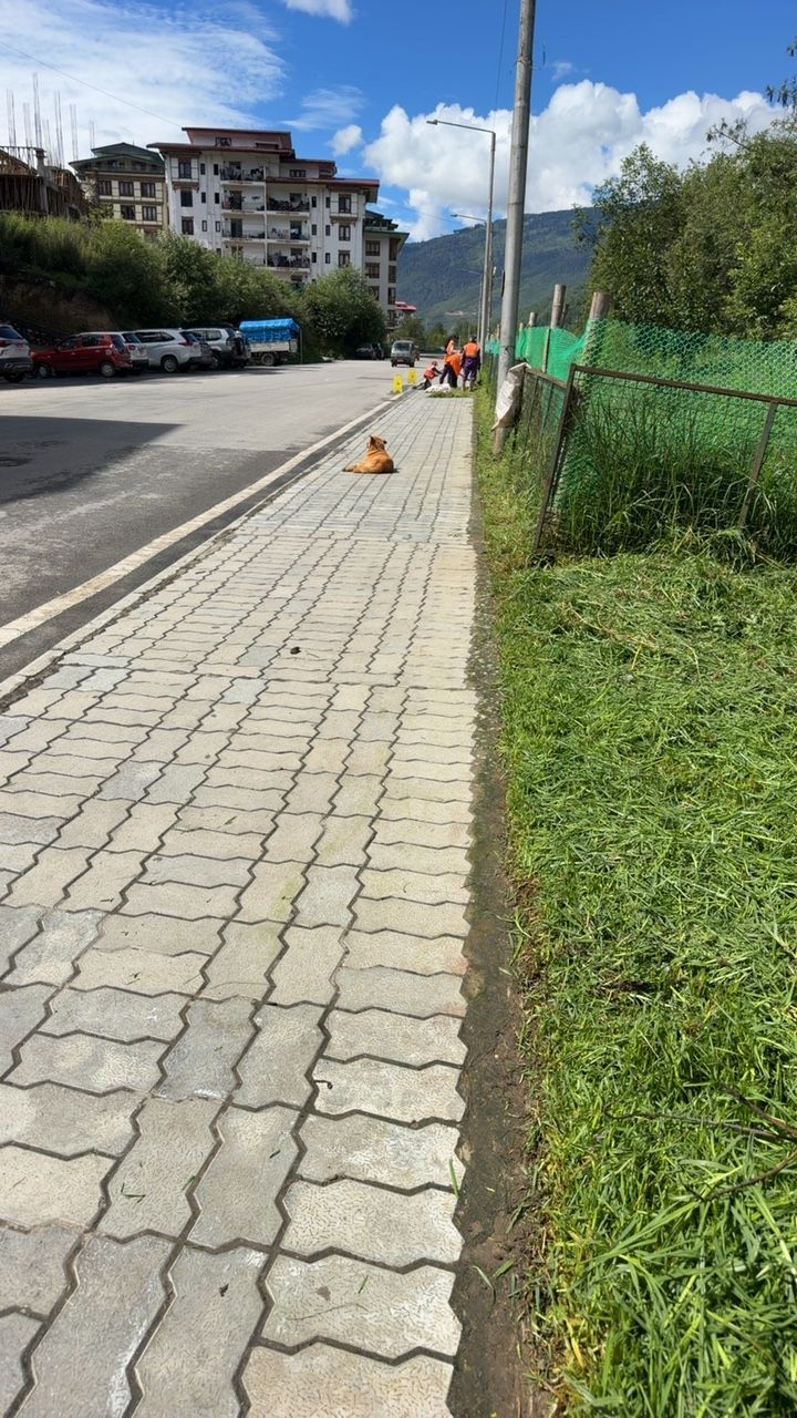 After cleaning photo