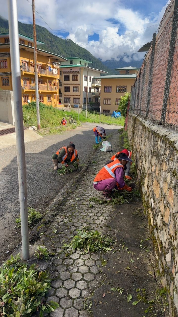 During cleaning photo