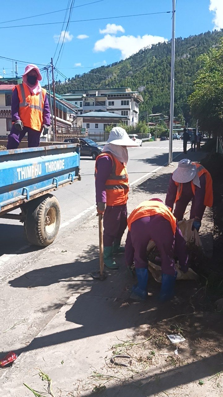 During cleaning photo