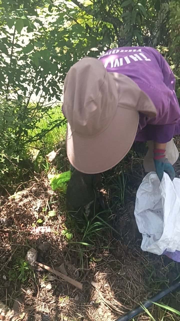 During cleaning photo