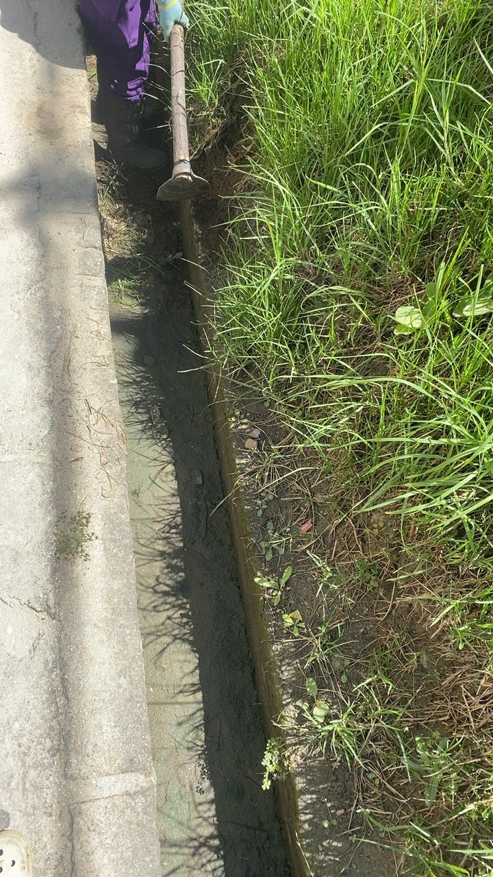 Before cleaning photo