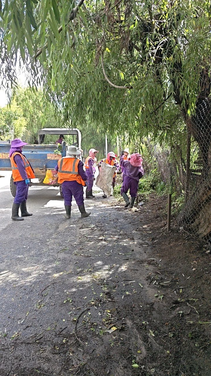 During cleaning photo