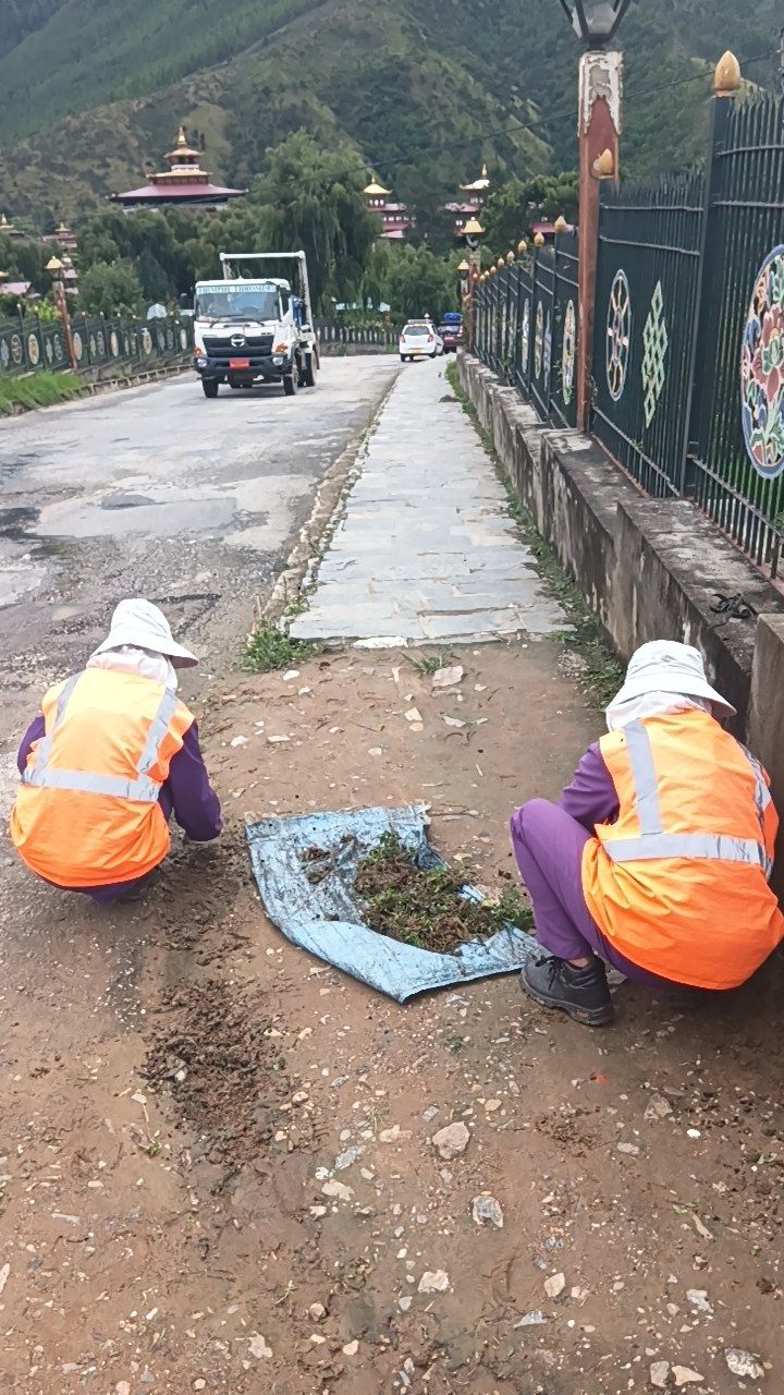 During cleaning photo