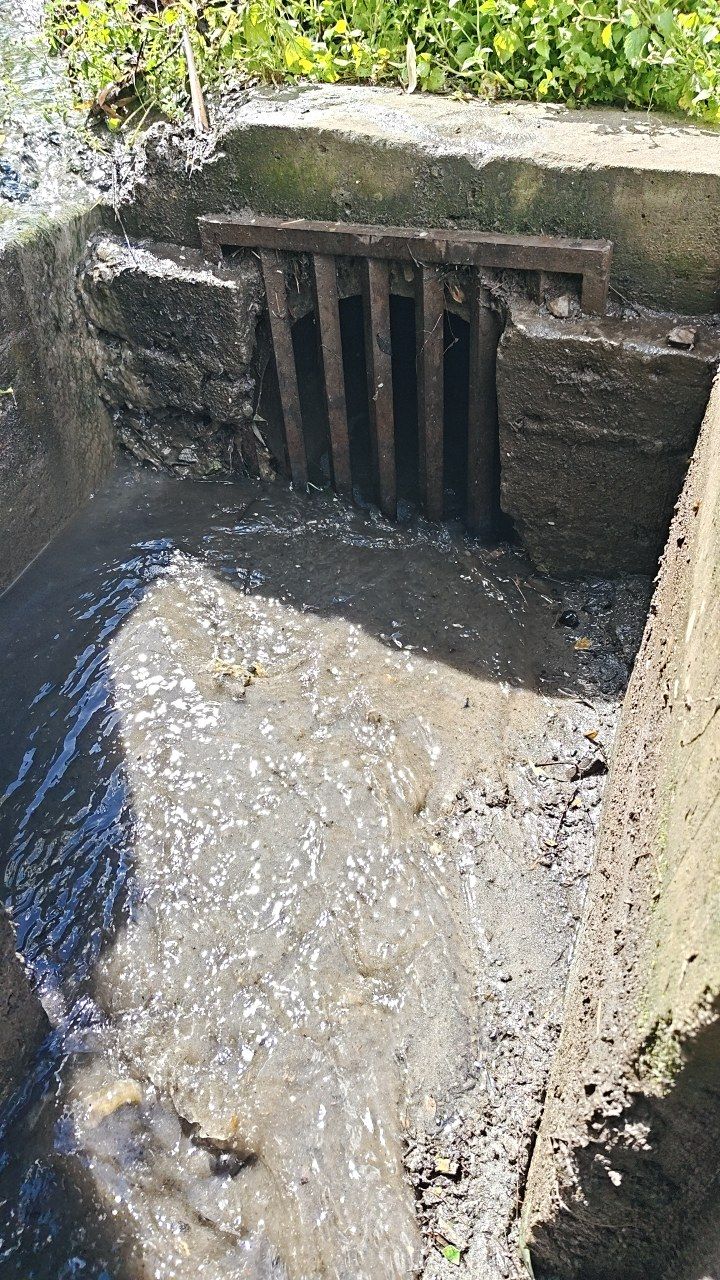 After cleaning photo