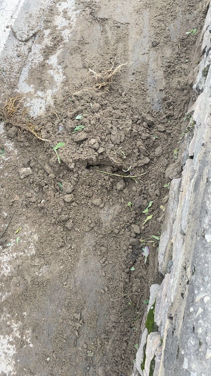 Before cleaning photo