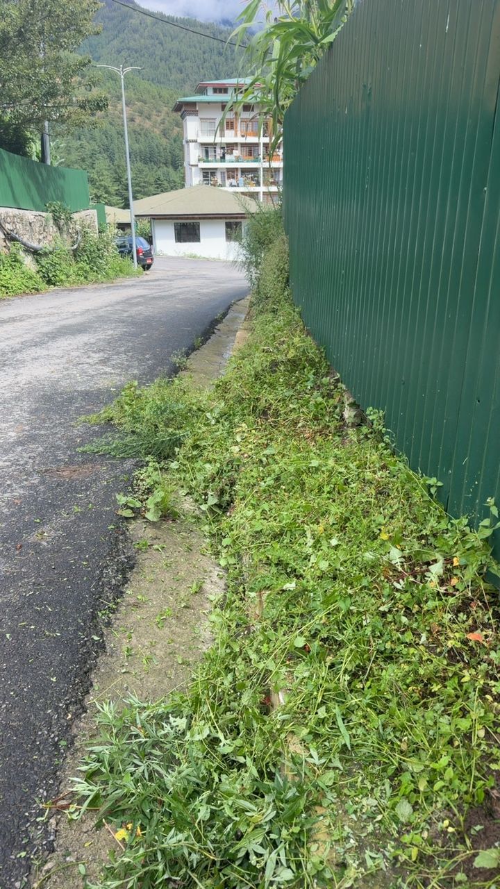 Before cleaning photo