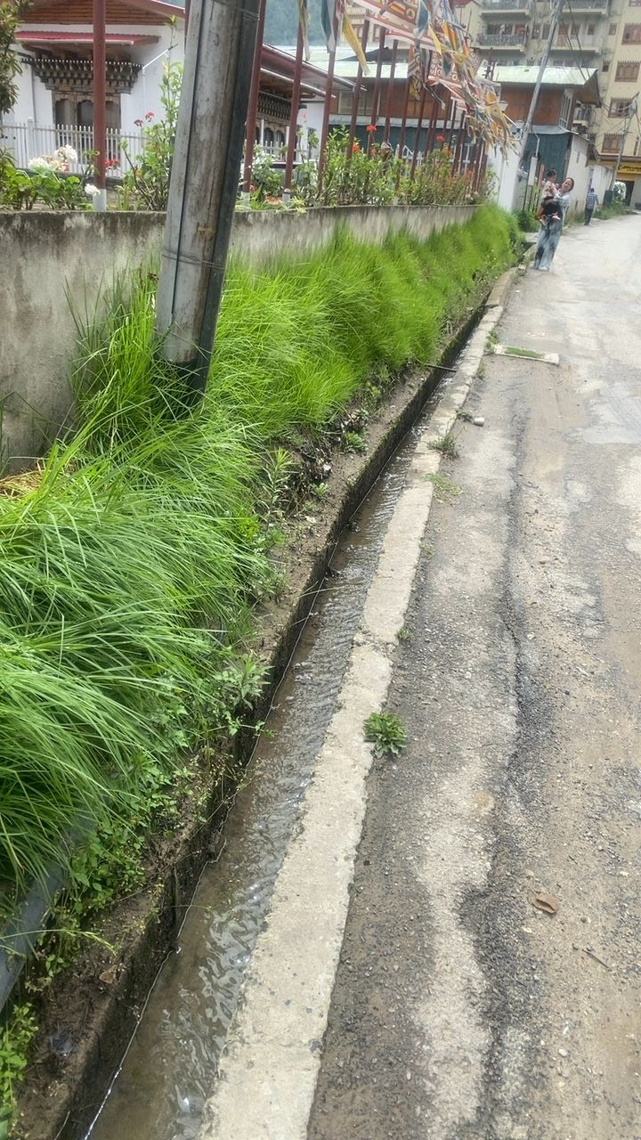 Before cleaning photo