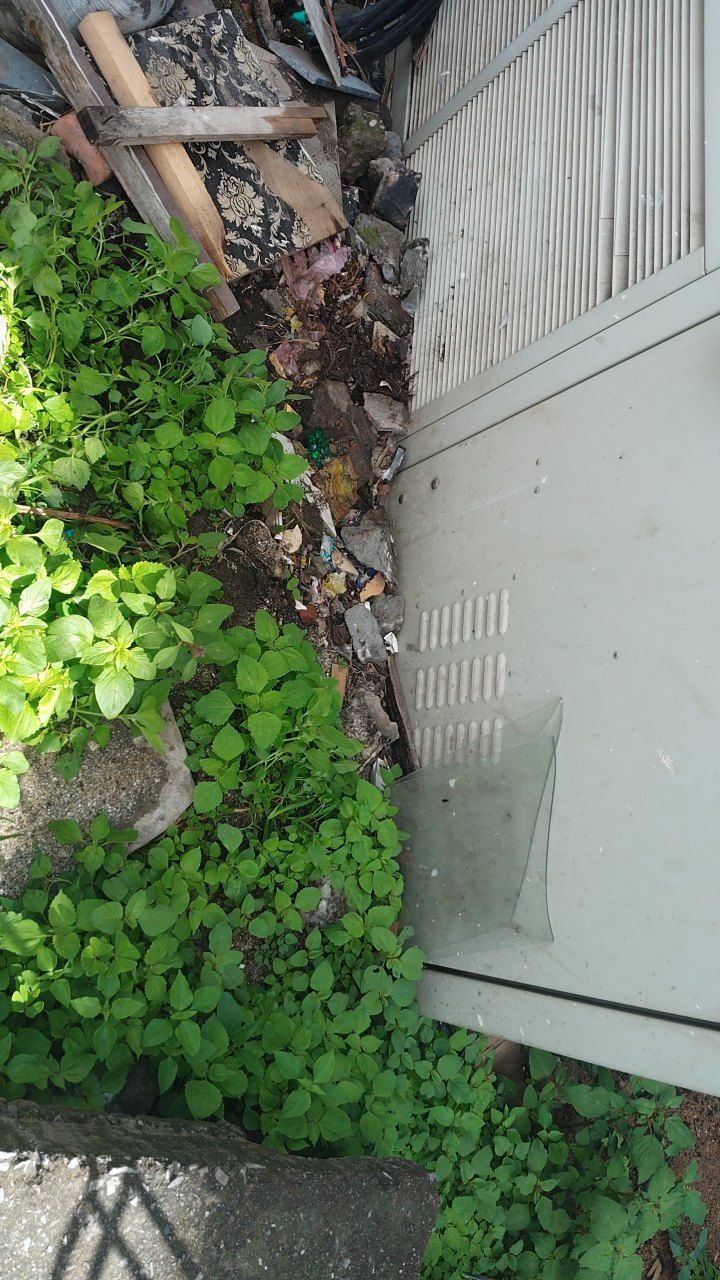 During cleaning photo