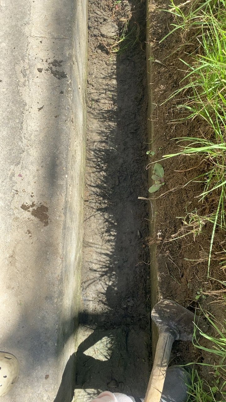 After cleaning photo