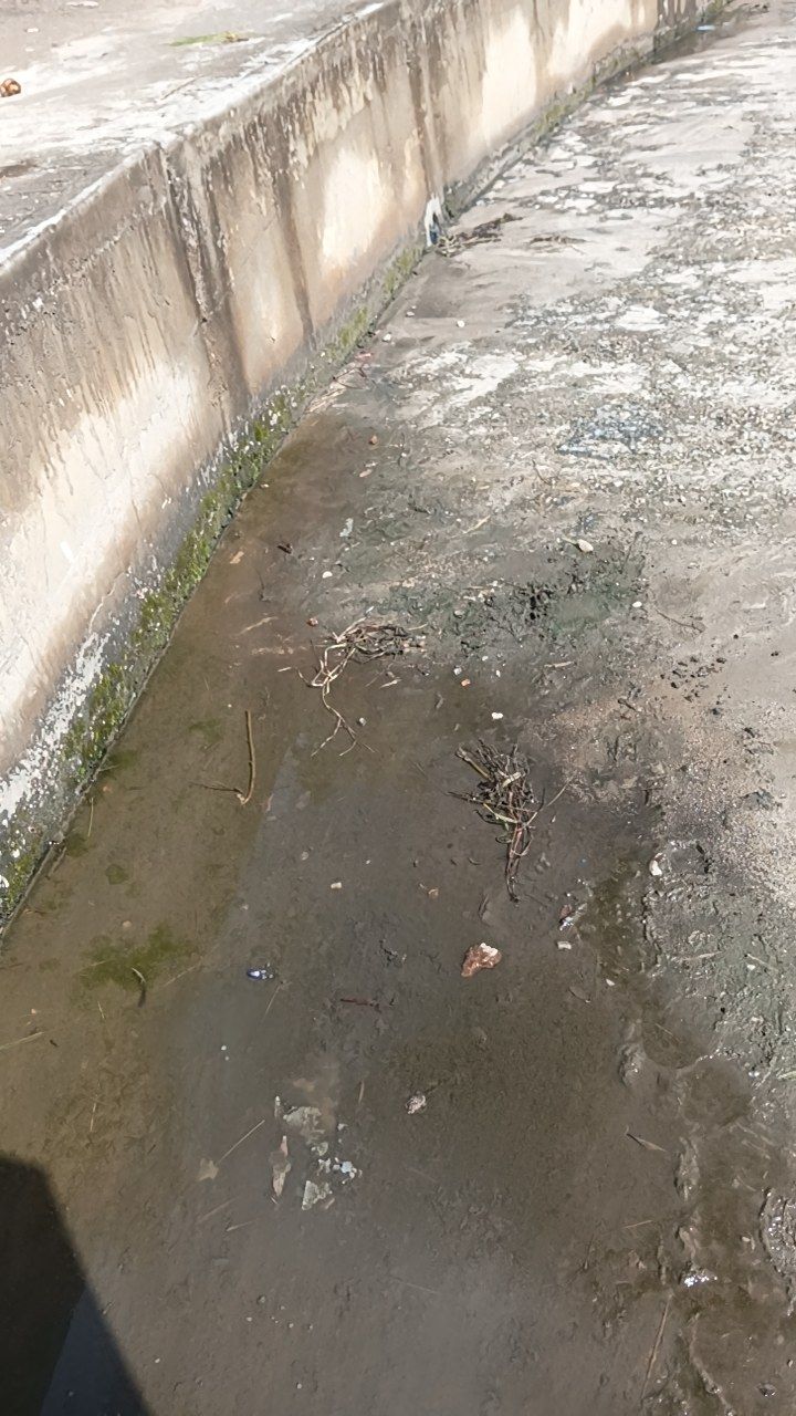 After cleaning photo
