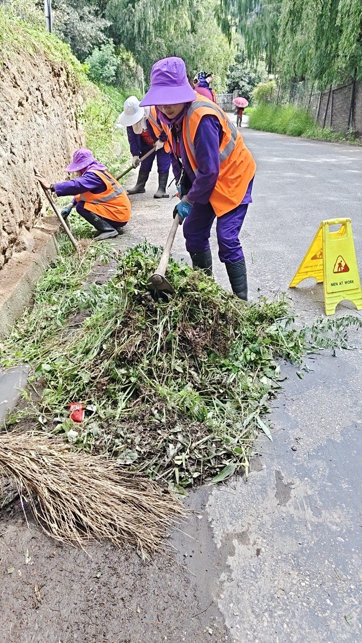 During cleaning photo