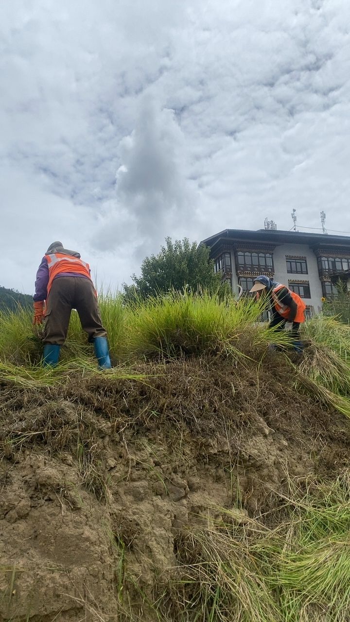 During cleaning photo