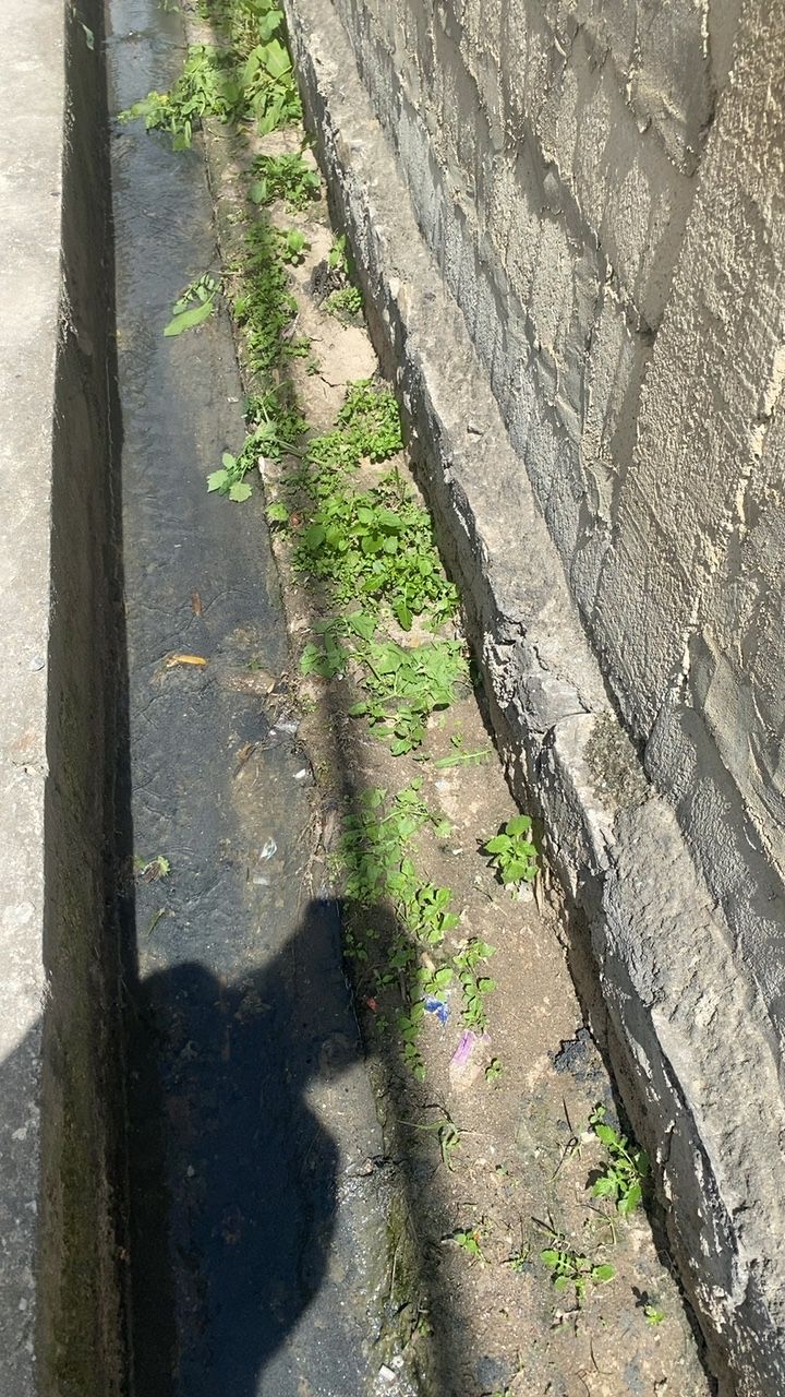 Before cleaning photo