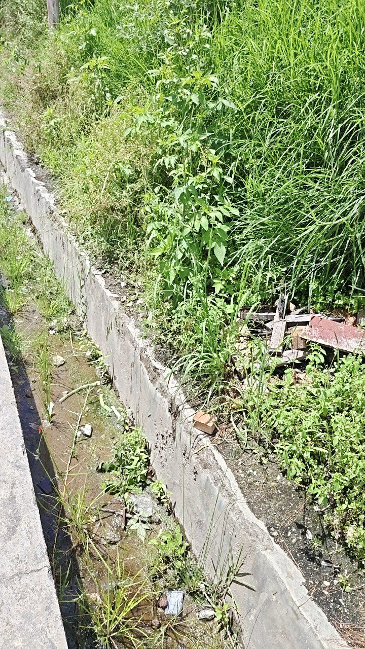 Before cleaning photo