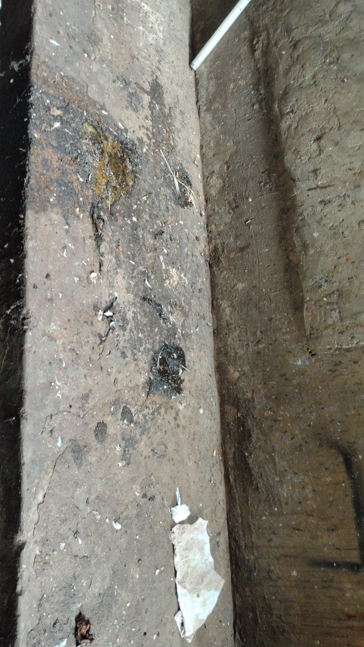 After cleaning photo