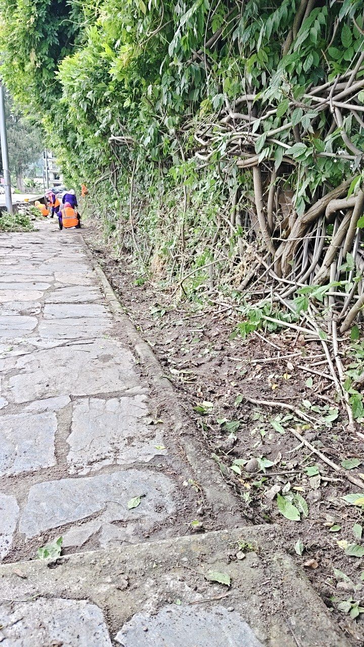 After cleaning photo