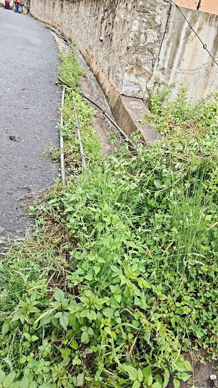 Before cleaning photo