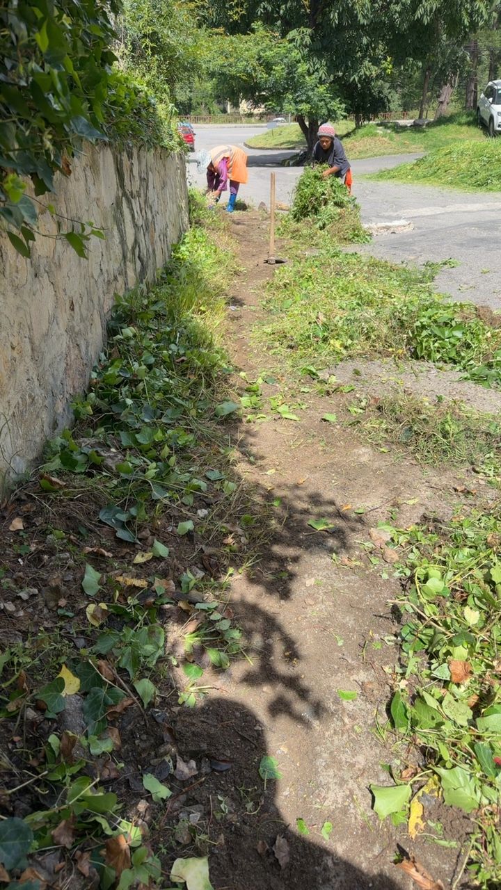 Before cleaning photo