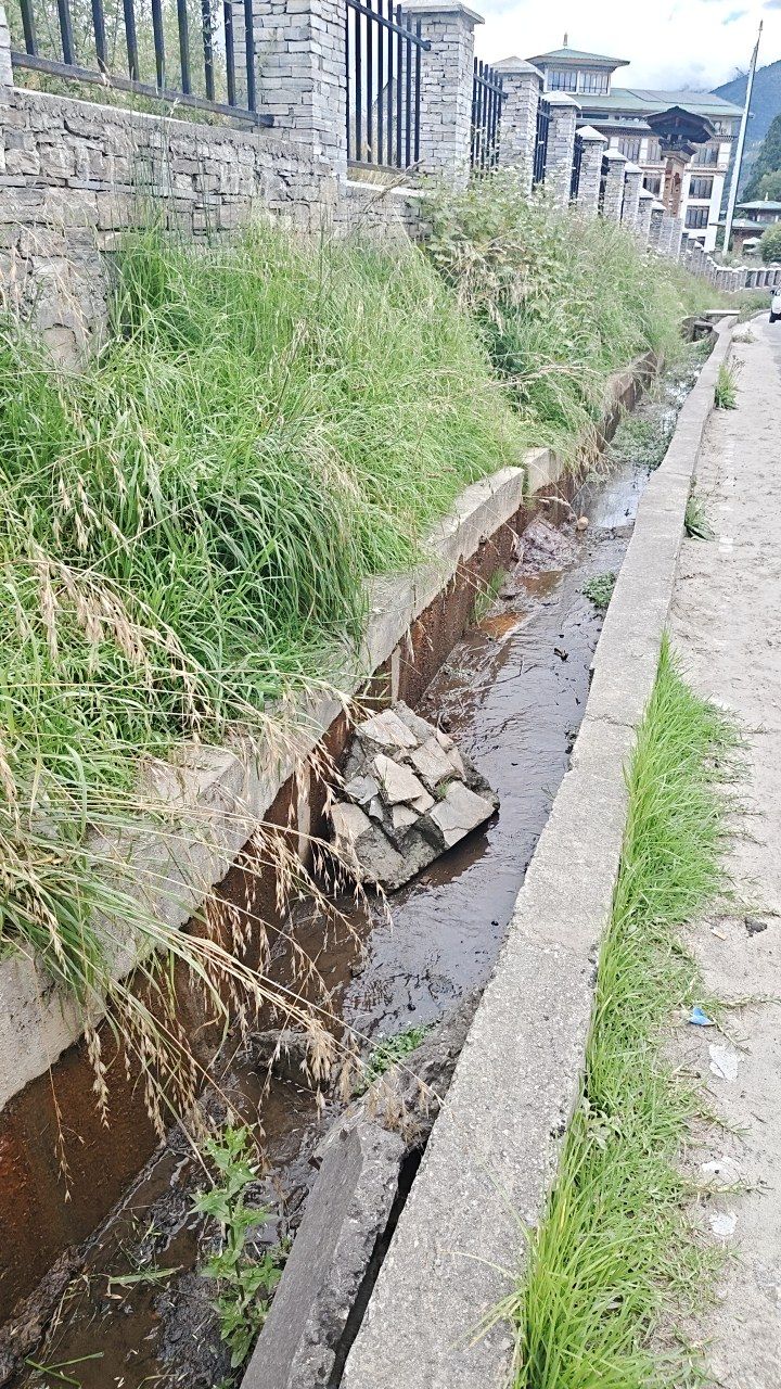 Before cleaning photo